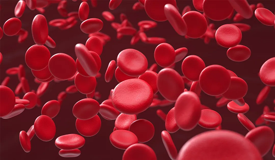 造血干细胞存储