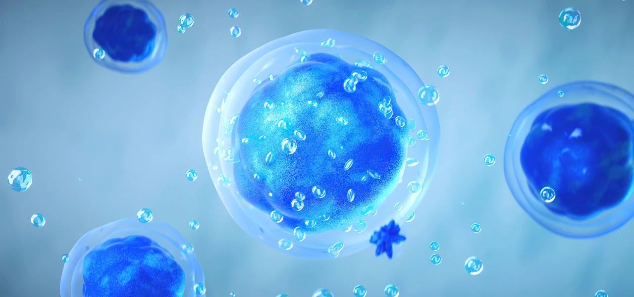 汉氏联合 干细胞存储 胎盘干细胞存储