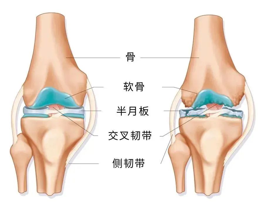 胎盘干细胞存储首选汉氏联合