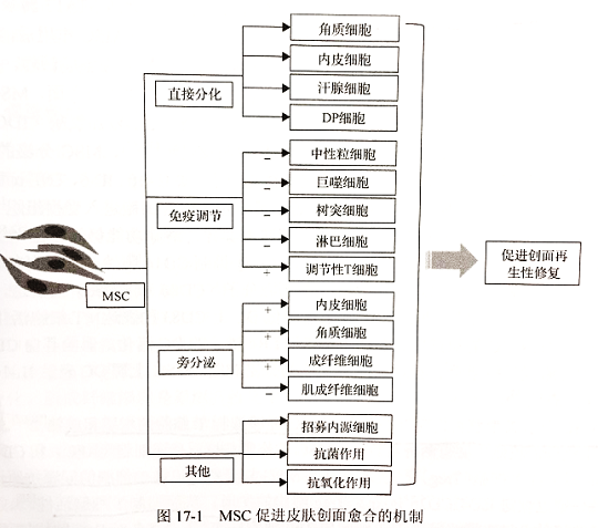 干细胞存储