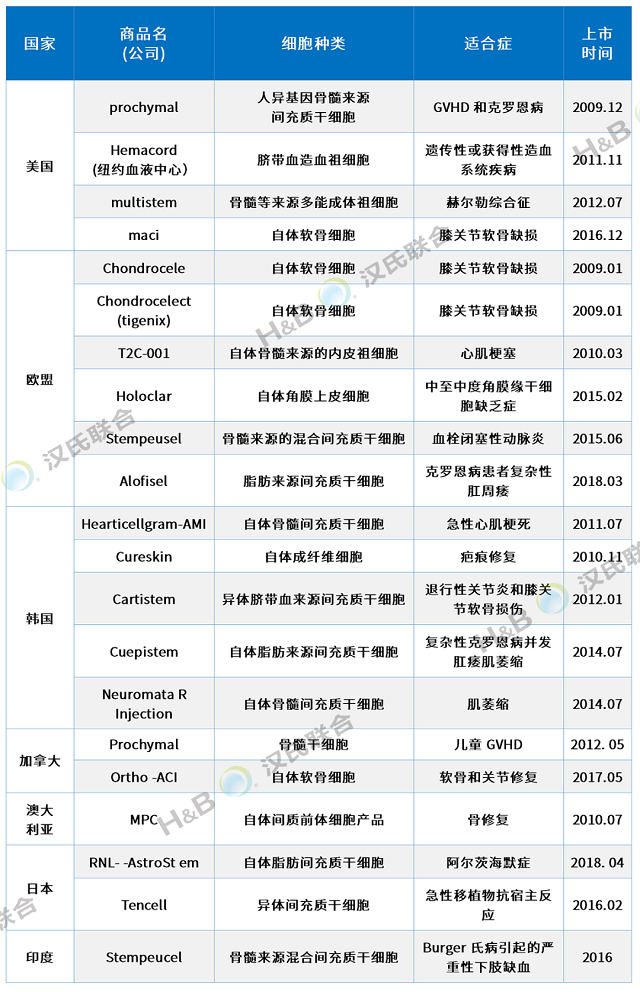 汉氏联合干细胞新药