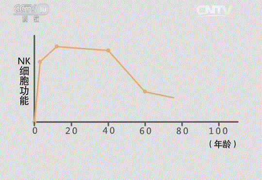 免疫细胞制备