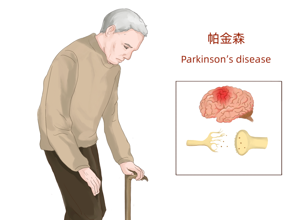 汉氏联合 存储胎盘干细胞 存储健康